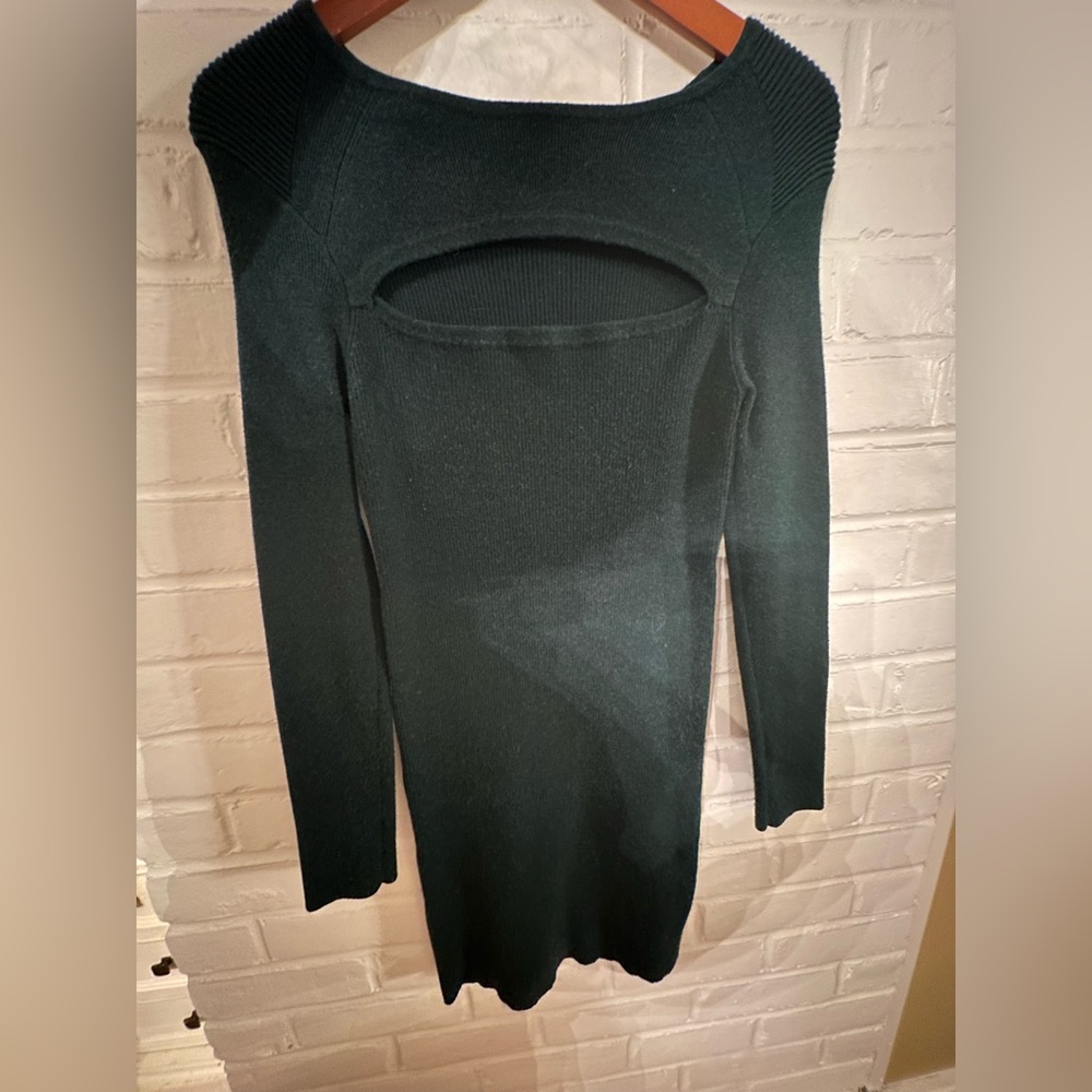 Torn by Ronny Kobo Dress with Cutout